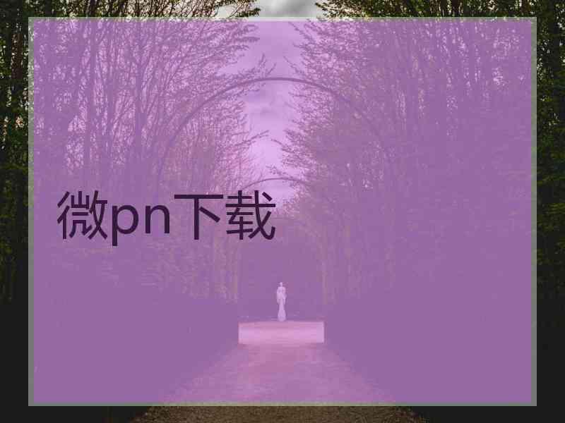 微pn下载