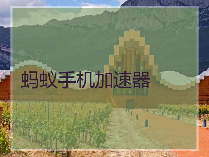 蚂蚁手机加速器