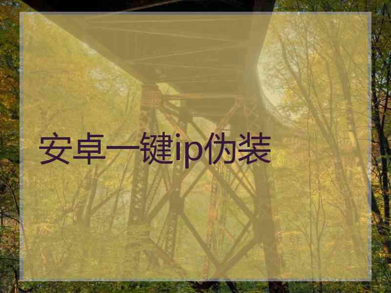 安卓一键ip伪装