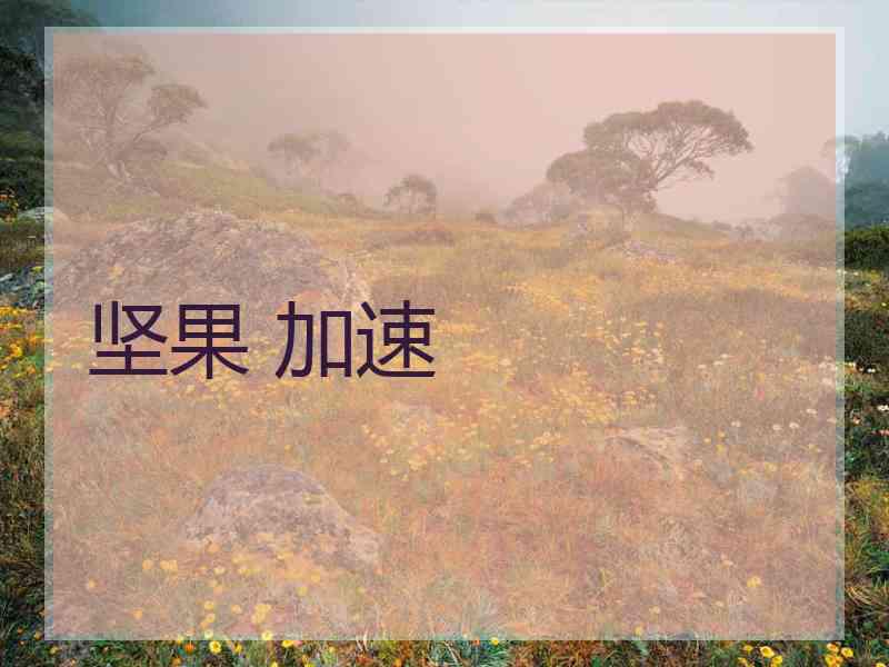 坚果 加速