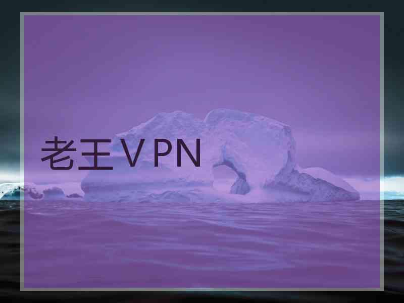 老王ⅤPN