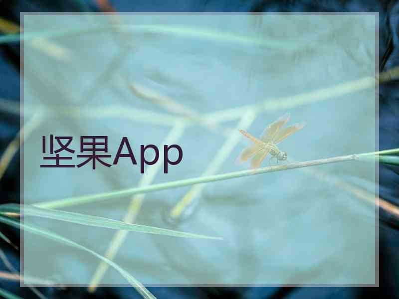 坚果App