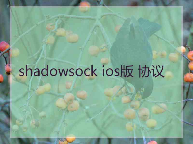 shadowsock ios版 协议