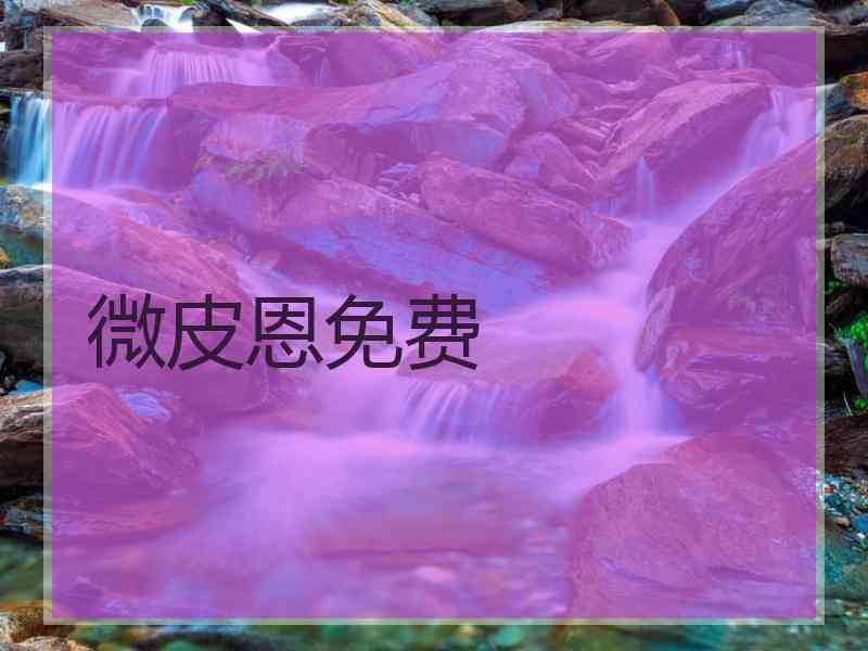 微皮恩免费