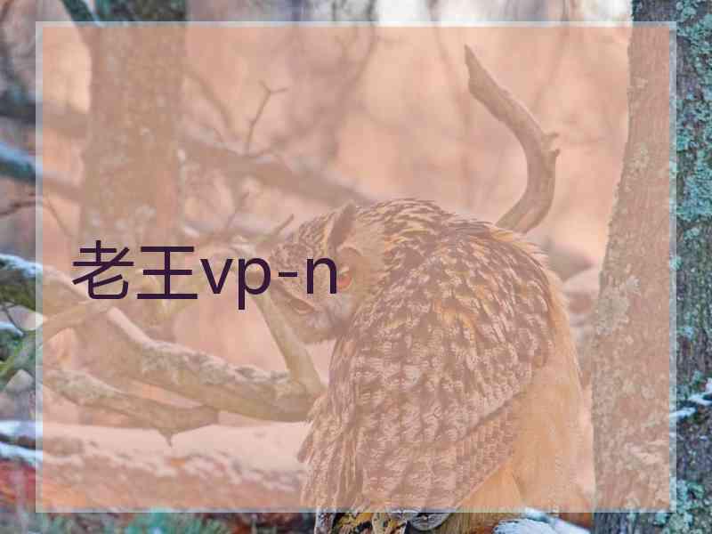 老王vp-n
