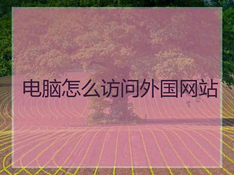 电脑怎么访问外国网站