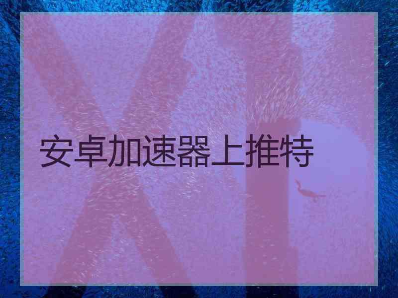安卓加速器上推特