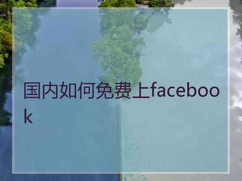 国内如何免费上facebook