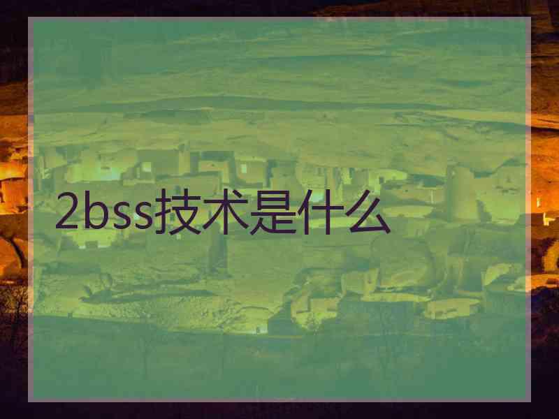 2bss技术是什么