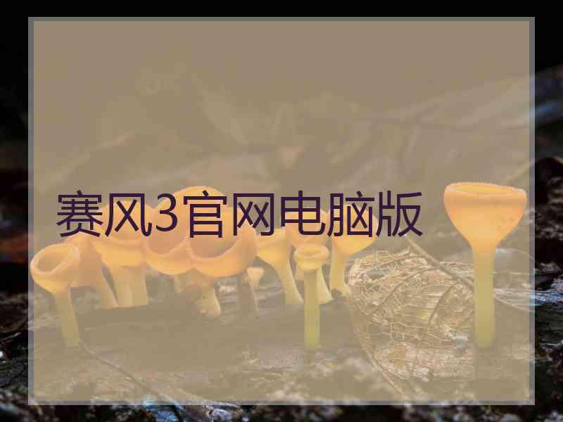 赛风3官网电脑版