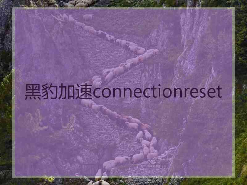 黑豹加速connectionreset