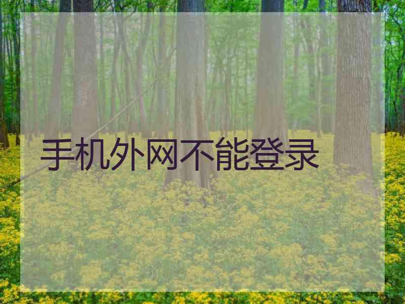手机外网不能登录