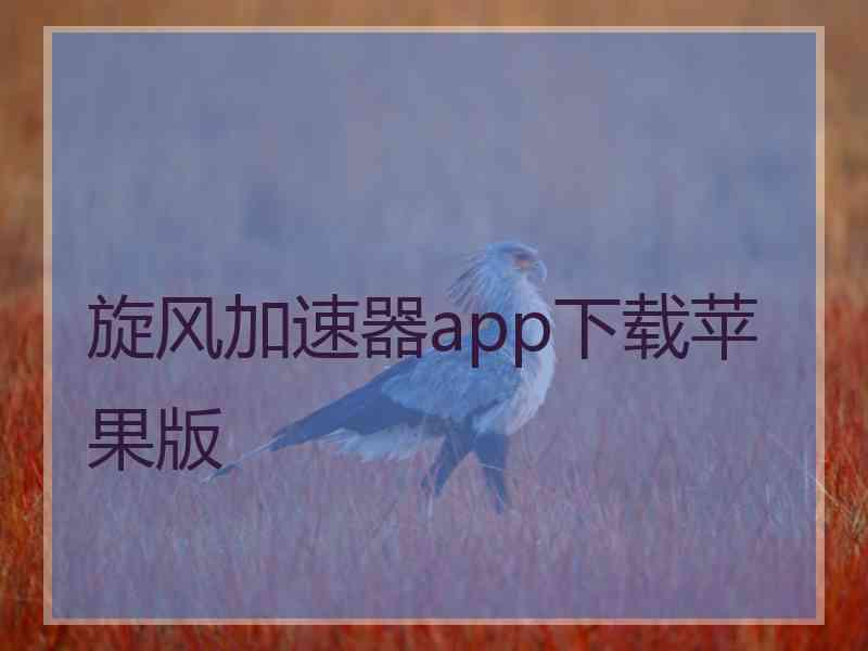 旋风加速器app下载苹果版
