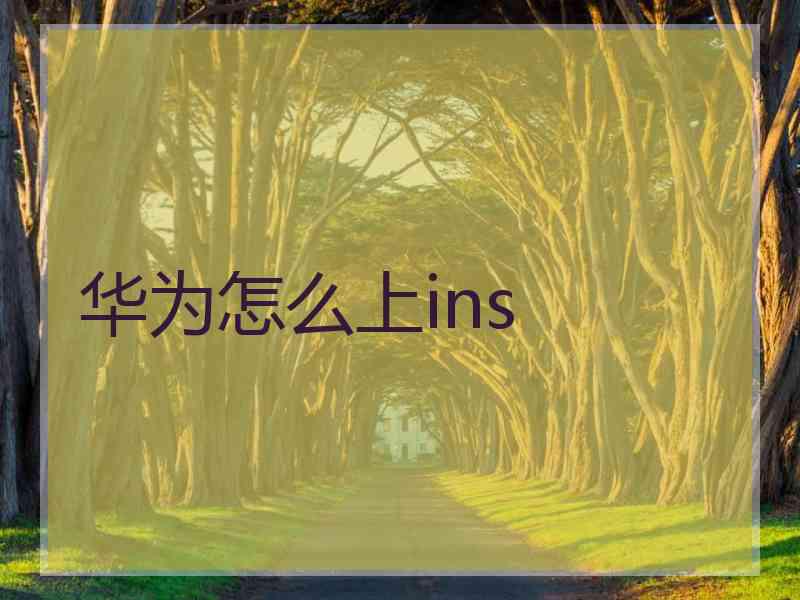 华为怎么上ins