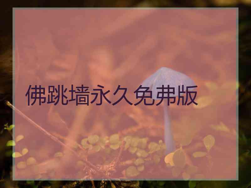 佛跳墙永久免弗版