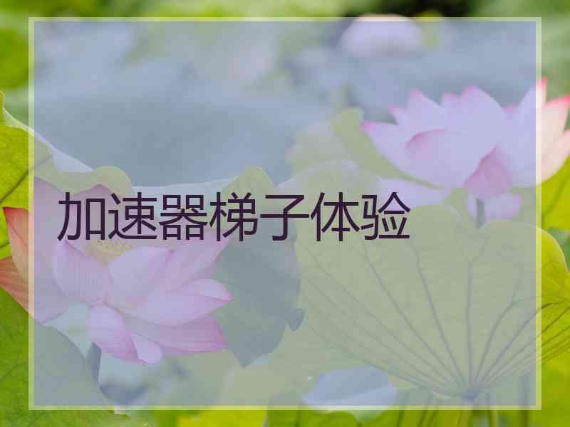 加速器梯子体验