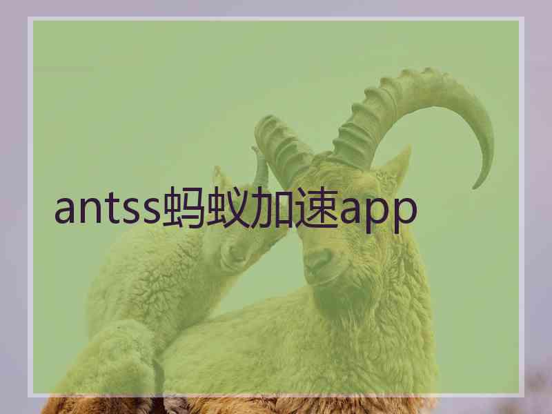 antss蚂蚁加速app