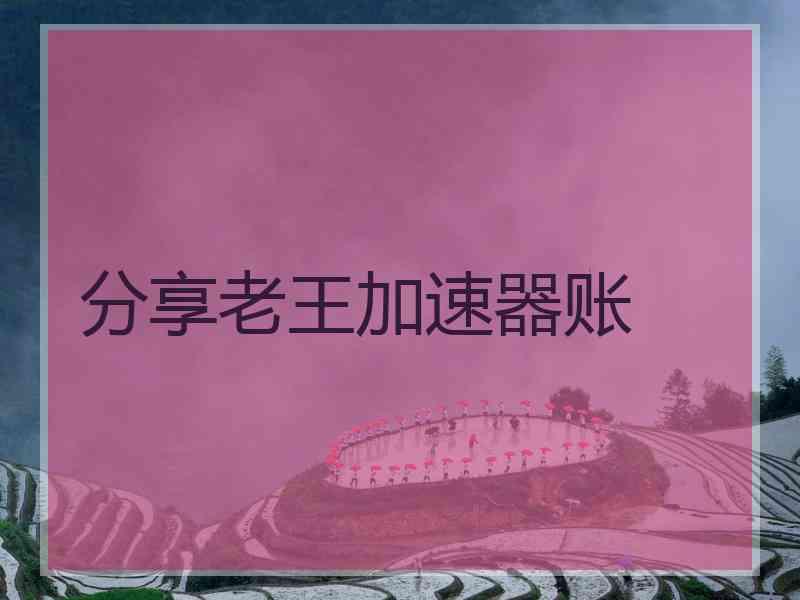 分享老王加速器账
