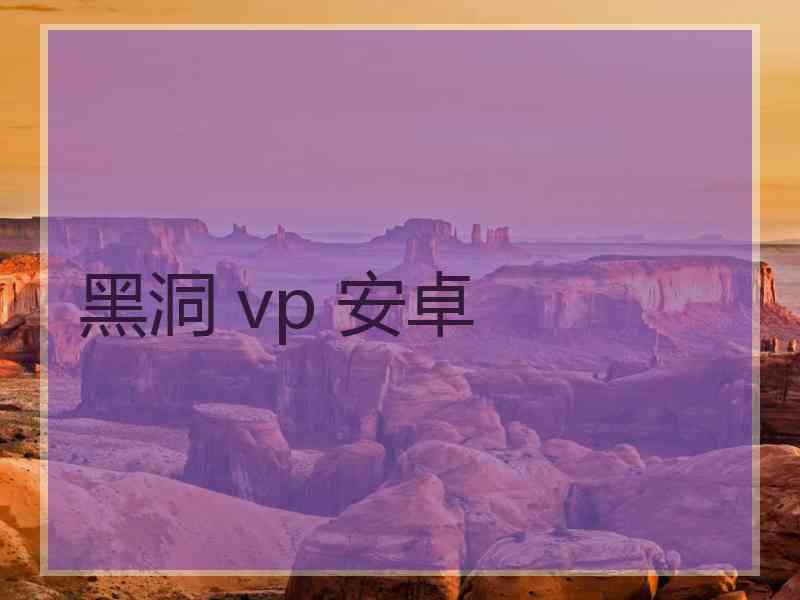 黑洞 vp 安卓