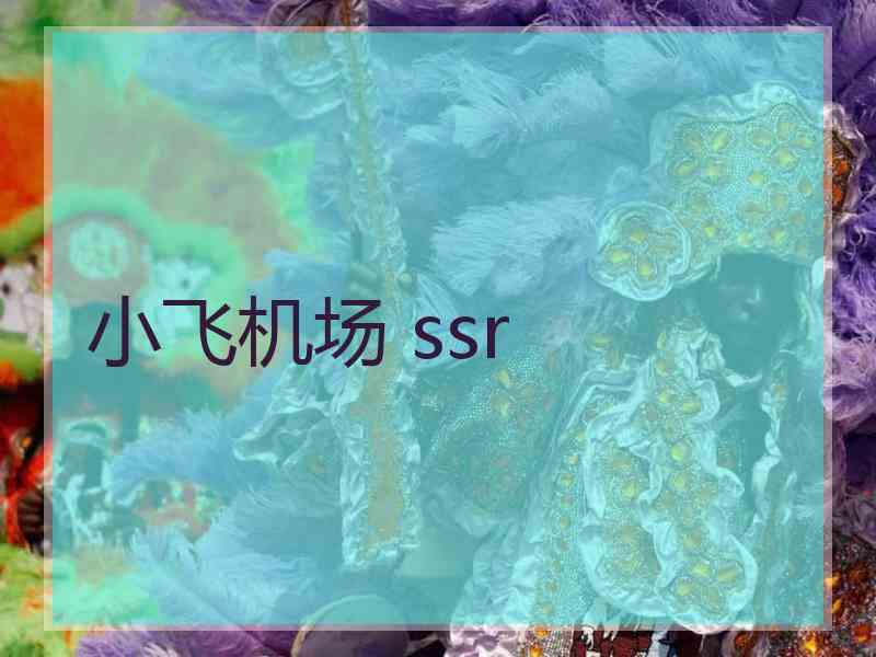 小飞机场 ssr