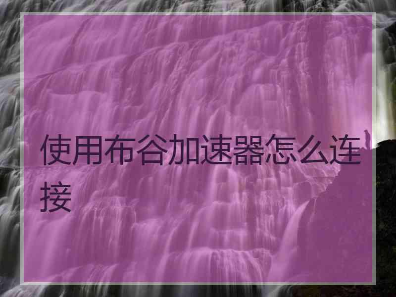 使用布谷加速器怎么连接