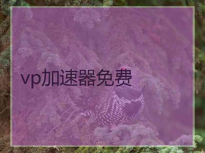 vp加速器免费