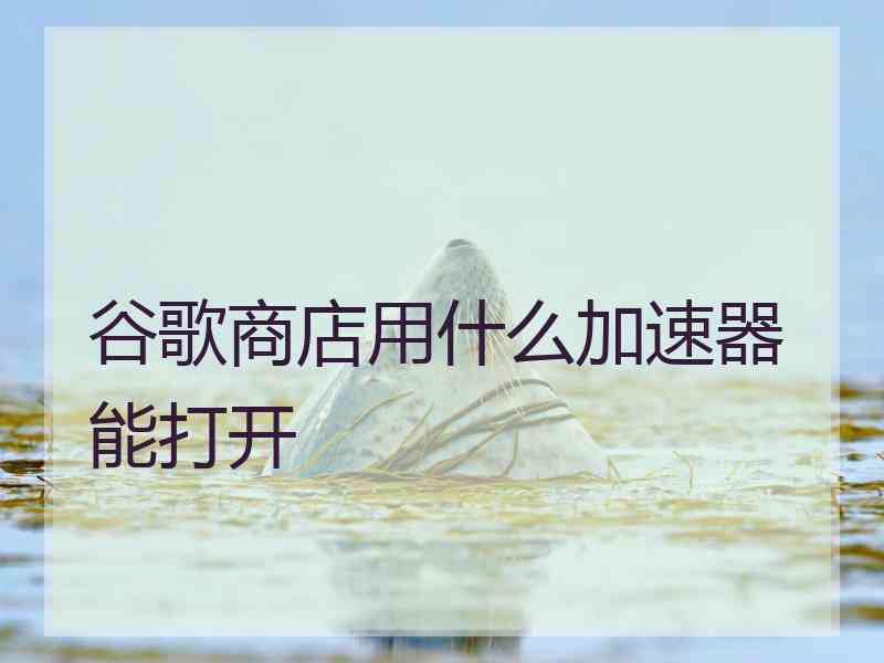 谷歌商店用什么加速器能打开