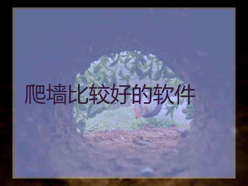 爬墙比较好的软件