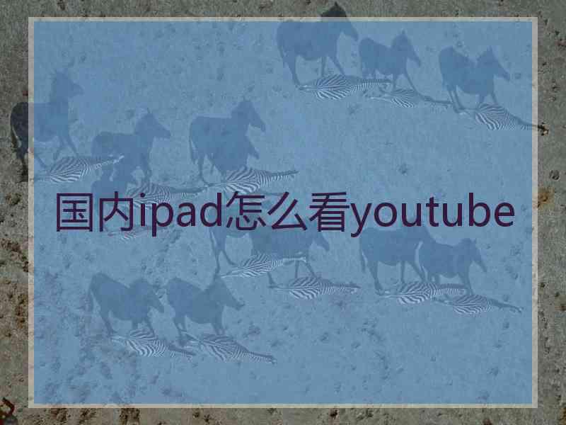 国内ipad怎么看youtube