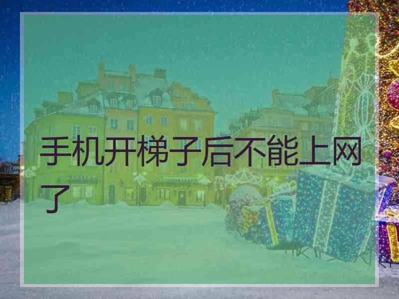 手机开梯子后不能上网了