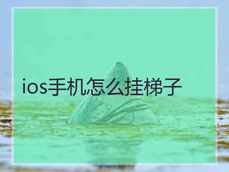 ios手机怎么挂梯子