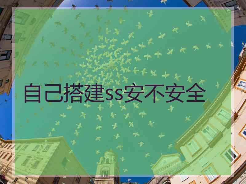 自己搭建ss安不安全