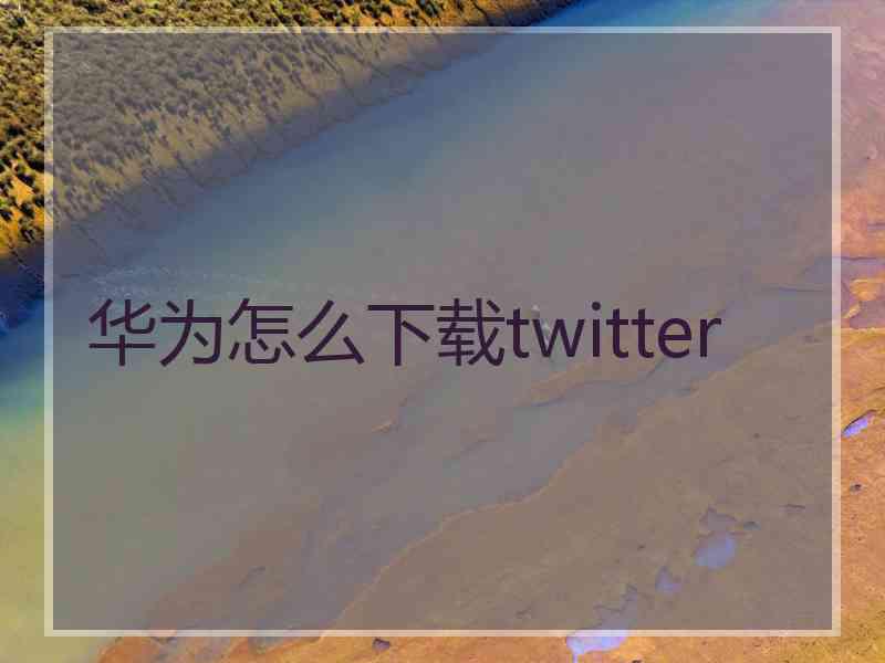华为怎么下载twitter