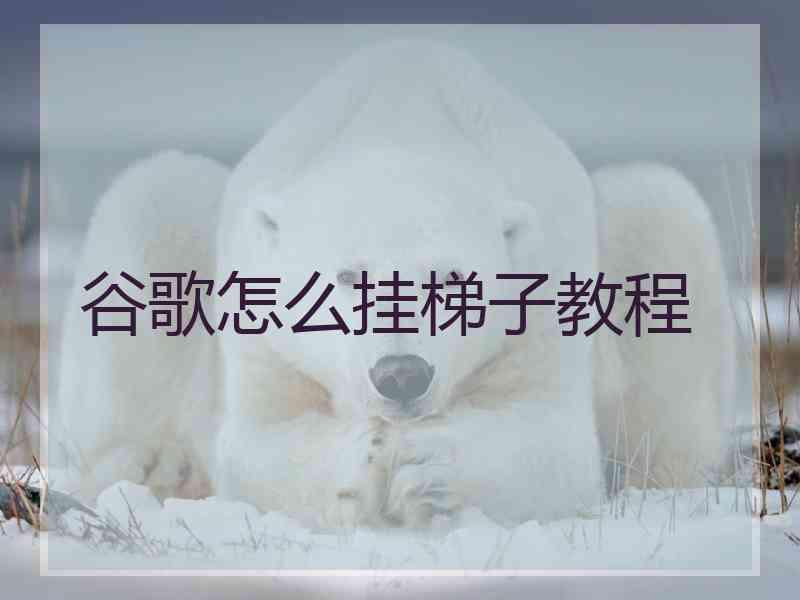 谷歌怎么挂梯子教程