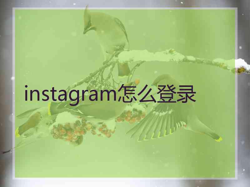instagram怎么登录