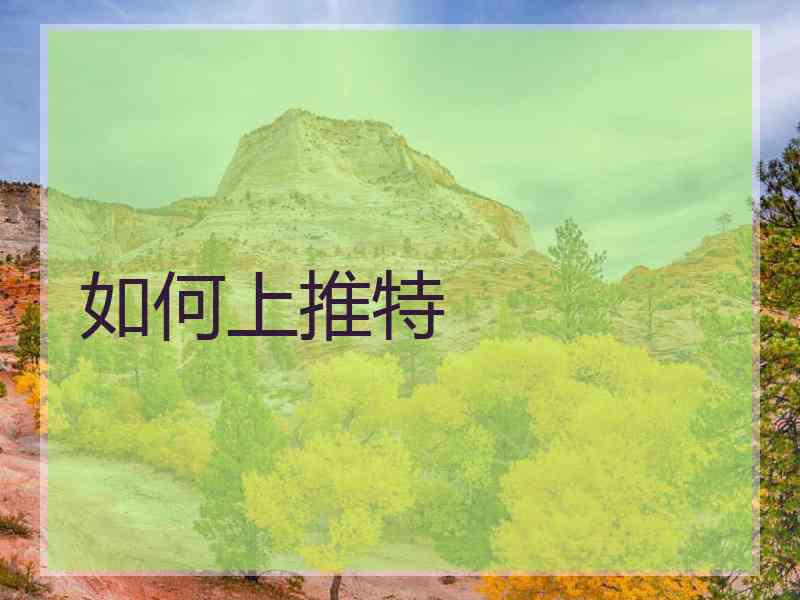 如何上推特