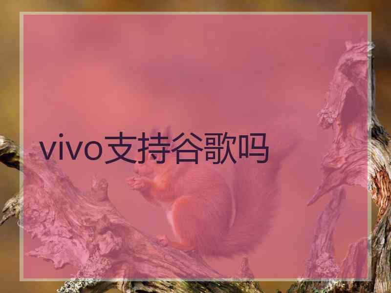 vivo支持谷歌吗