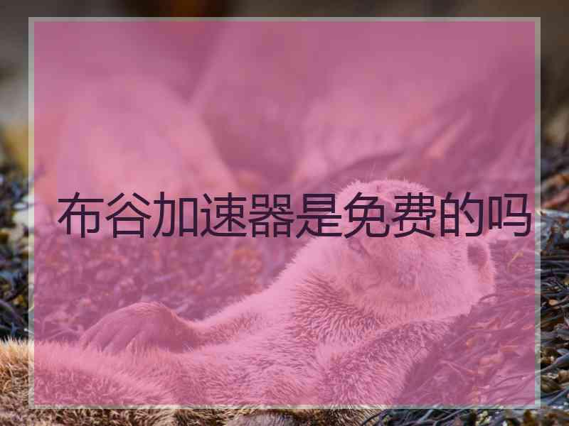 布谷加速器是免费的吗