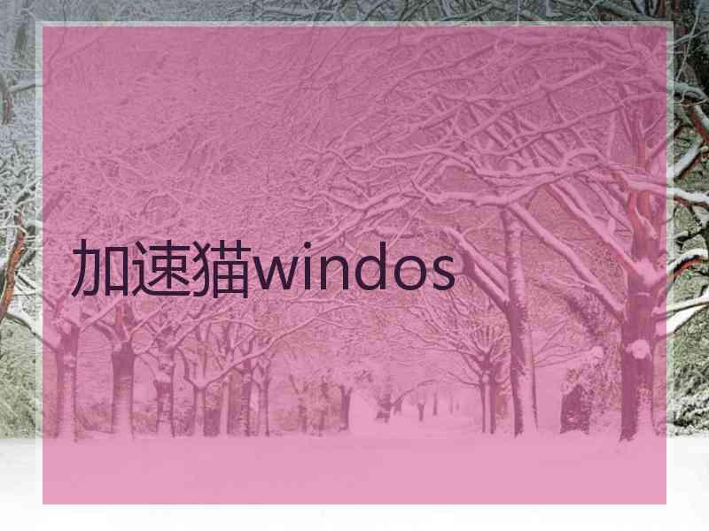 加速猫windos
