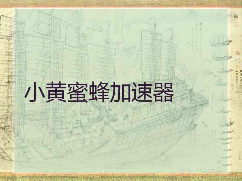 小黄蜜蜂加速器