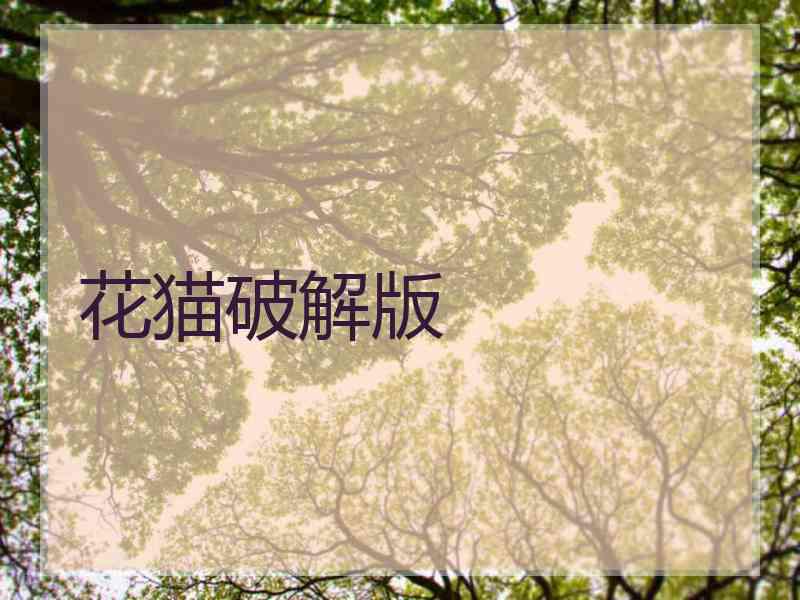 花猫破解版