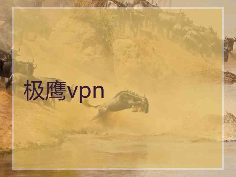 极鹰vpn