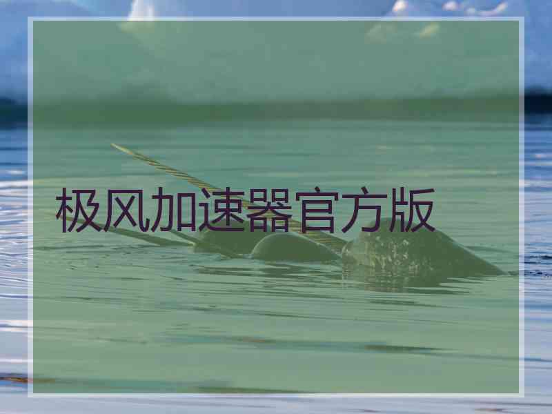 极风加速器官方版