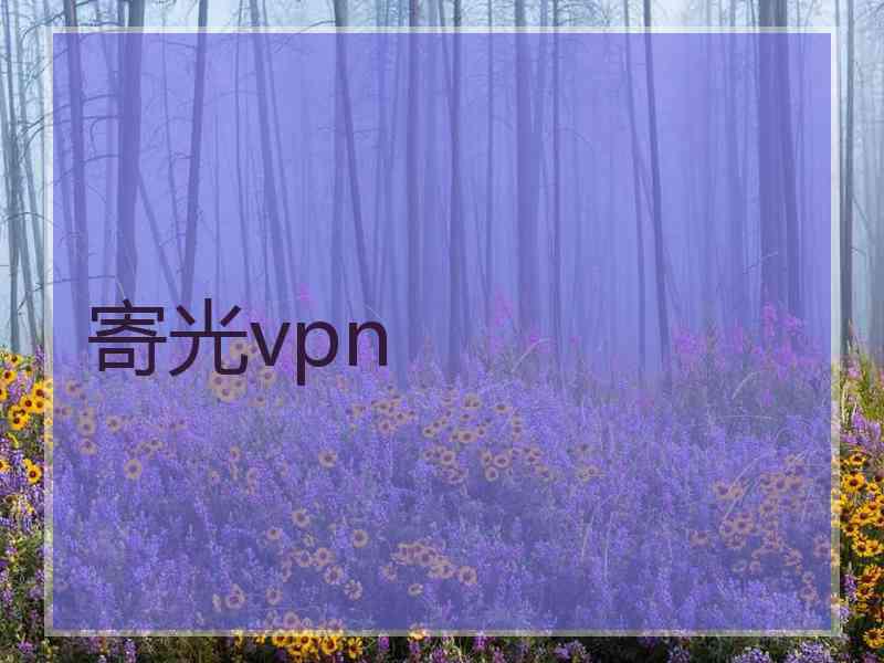 寄光vpn