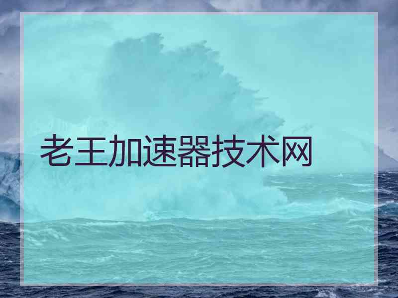老王加速器技术网