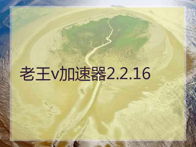 老王v加速器2.2.16