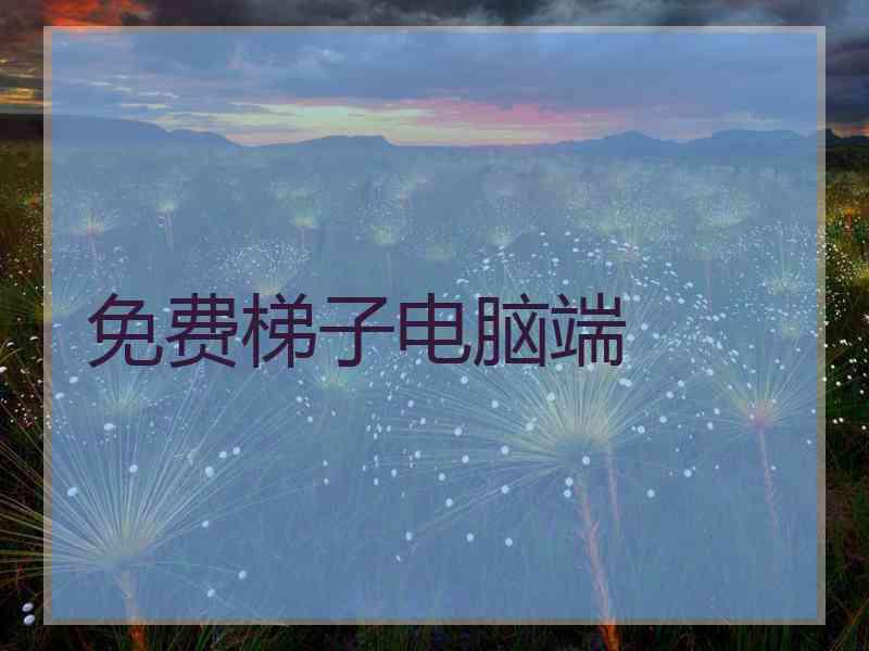 免费梯子电脑端