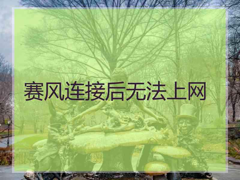 赛风连接后无法上网