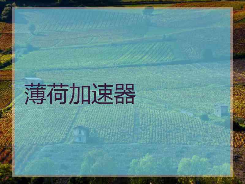 薄荷加速器