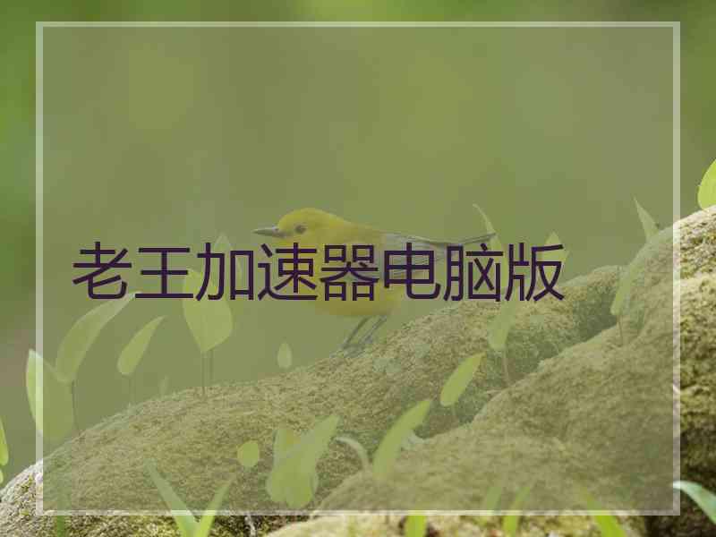 老王加速器电脑版